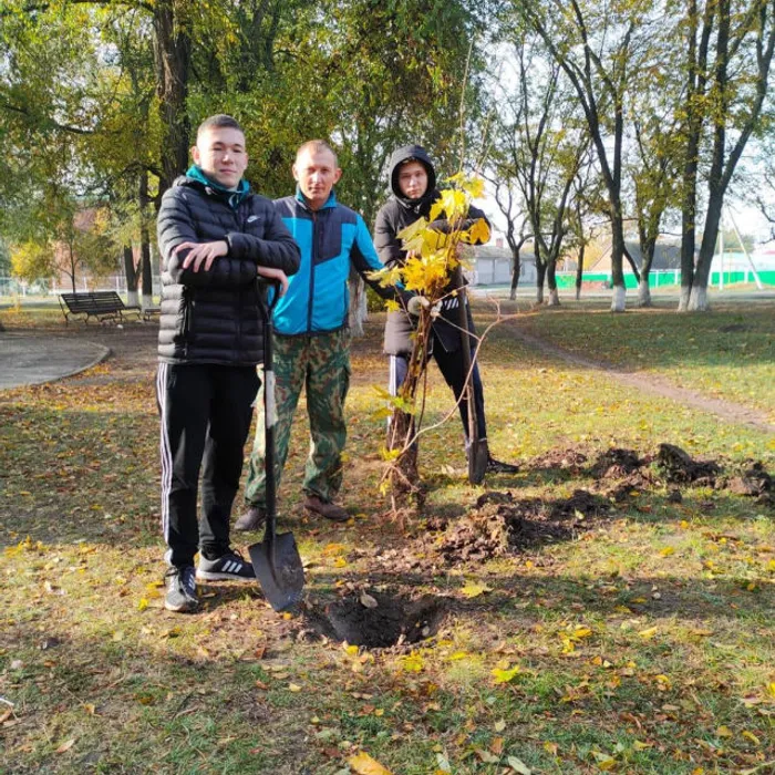 День древонасаждения